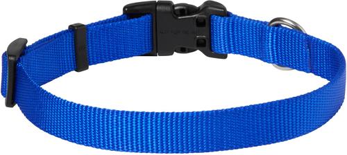 Show full view: Frisco Solid Nylon Dog Collar, Blue, Med: 14 to 20-in neck, 3/4-in W slide 2 of 9