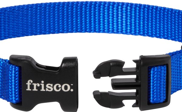 Show full view: Frisco Solid Nylon Dog Collar, Blue, S: 10 to 14-in neck, 5/8-in W slide 3 of 9
