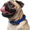 Show in main carousel: Frisco Solid Nylon Dog Collar, Blue, S: 10 to 14-in neck, 5/8-in W slide 4 of 9