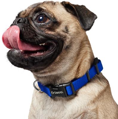 Show full view: Frisco Solid Nylon Dog Collar, Blue, S: 10 to 14-in neck, 5/8-in W slide 4 of 9