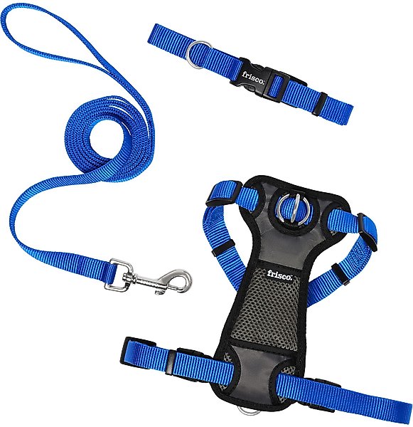 Show full view: Frisco Solid Nylon Dog Collar, Blue, S: 10 to 14-in neck, 5/8-in W slide 6 of 9