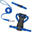 Show in main carousel: Frisco Solid Nylon Dog Collar, Blue, S: 10 to 14-in neck, 5/8-in W slide 6 of 9