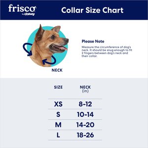 Frisco Solid Nylon Dog Collar, Blue, S: 10 to 14-in neck, 5/8-in W