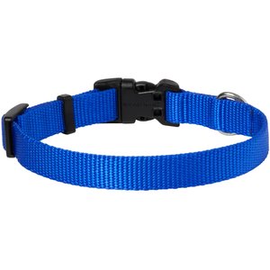 Frisco Solid Nylon Dog Collar, Blue, S: 10 to 14-in neck, 5/8-in W