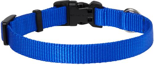 Show full view: Frisco Solid Nylon Dog Collar, Blue, S: 10 to 14-in neck, 5/8-in W slide 2 of 9