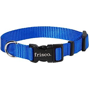 Frisco Solid Nylon Dog Collar, Blue, XS: 8 to 12-in neck, 5/8-in W