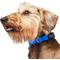 Show in main carousel: Frisco Solid Nylon Dog Collar, Blue, XS: 8 to 12-in neck, 5/8-in W slide 4 of 9