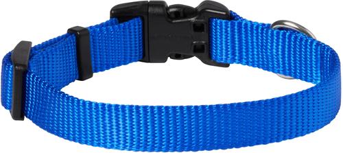 Show full view: Frisco Solid Nylon Dog Collar, Blue, XS: 8 to 12-in neck, 5/8-in W slide 2 of 9