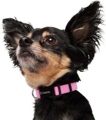Show full view: Frisco Solid Nylon Dog Collar, Pink, XS: 8 to 12-in neck, 5/8-in W slide 4 of 9
