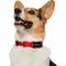 Show in main carousel: Frisco Solid Nylon Dog Collar, Red, Med: 14 to 20-in neck, 3/4-in W slide 4 of 9