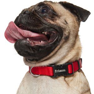 Frisco Solid Nylon Dog Collar, Red, S: 10 to 14-in neck, 5/8-in W