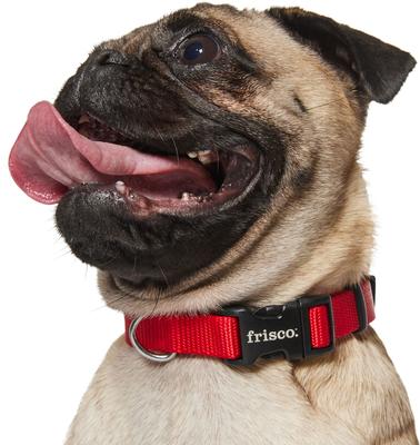 Show full view: Frisco Solid Nylon Dog Collar, Red, S: 10 to 14-in neck, 5/8-in W slide 4 of 9