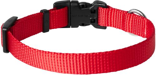 Show full view: Frisco Solid Nylon Dog Collar, Red, XS: 8 to 12-in neck, 5/8-in W slide 2 of 9