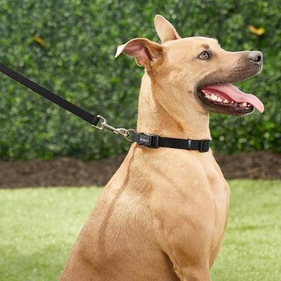 Show full view: Frisco Solid Nylon Dog Leash, Black, Medium: 6-ft long, 3/4-in wide slide 2 of 7