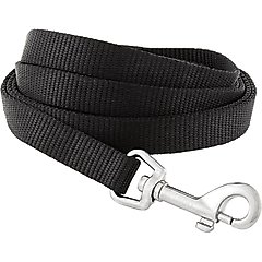 Frisco Solid Nylon Dog Leash, Black, Small: 6-ft long, 5/8-in wide