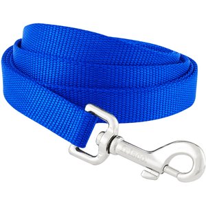Frisco Solid Nylon Dog Leash, Blue, Medium: 4-ft long, 3/4-in wide