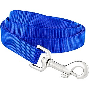 Frisco Solid Nylon Dog Leash, Blue, Medium: 6-ft long, 3/4-in wide