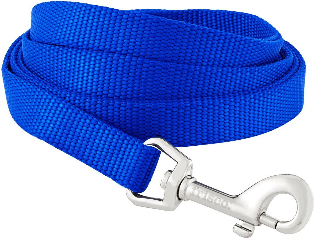 Frisco Solid Nylon Dog Leash