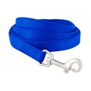 Frisco Solid Nylon Dog Leash, Blue, Small: 6-ft long, 5/8-in wide