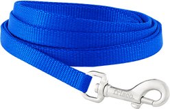 Frisco Solid Nylon Dog Leash, Blue, X-Small: 6-ft long, 3/8-in wide