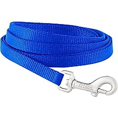 Frisco Solid Nylon Dog Leash, Blue, X-Small: 6-ft long, 3/8-in wide