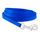 Frisco Solid Nylon Dog Leash, Blue, X-Small: 6-ft long, 3/8-in wide