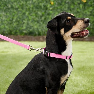 Show full view: Frisco Solid Nylon Dog Leash, Pink, X-Small: 6-ft long, 3/8-in wide slide 2 of 7