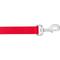 Show in main carousel: Frisco Solid Nylon Dog Leash, Red, Large: 4-ft long, 1-in wide slide 3 of 7