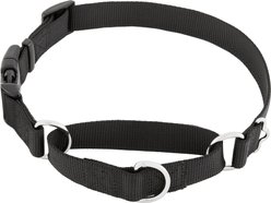 Frisco Solid Nylon Martingale Dog Collar with Buckle, Black, Large: 20 to 25-in neck, 1-in wide