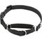 Show in main carousel: Frisco Solid Nylon Martingale Dog Collar with Buckle, Black, Large: 20 to 25-in neck, 1-in wide slide 1 of 9