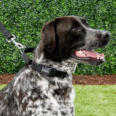 Show full view: Frisco Solid Nylon Martingale Dog Collar with Buckle, Black, Large: 20 to 25-in neck, 1-in wide slide 3 of 9
