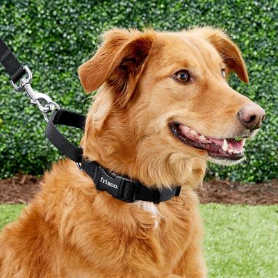 Show full view: Frisco Solid Nylon Martingale Dog Collar with Buckle, Black, Medium: 17 to 20-in neck, 1-in wide slide 3 of 9