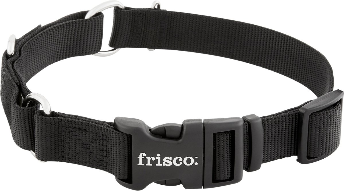 Frisco Solid Nylon Dog Collar