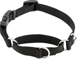 Frisco Solid Nylon Martingale Dog Collar with Buckle, Black, S: 14 to 17-in neck, 3/4-in W
