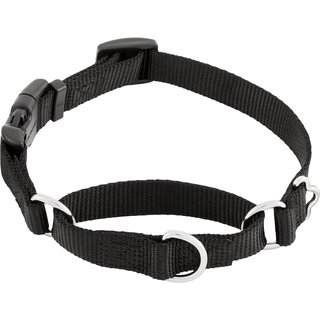Frisco Solid Nylon Martingale Dog Collar with Buckle, Black, S: 14 to 17-in neck, 3/4-in W slide 1 of 7