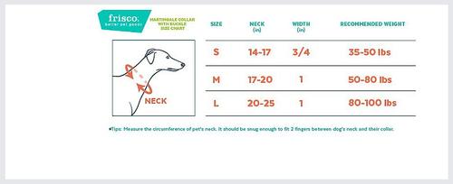 Show full view: Frisco Solid Nylon Martingale Dog Collar with Buckle, Black, S: 14 to 17-in neck, 3/4-in W slide 2 of 9