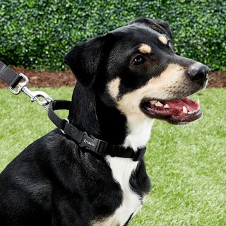 Frisco Solid Nylon Martingale Dog Collar with Buckle, Black, S: 14 to 17-in neck, 3/4-in W slide 3 of 7