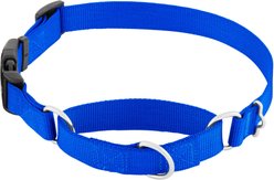 Frisco Solid Nylon Martingale Dog Collar with Buckle, Blue, Large: 20 to 25-in neck, 1-in wide