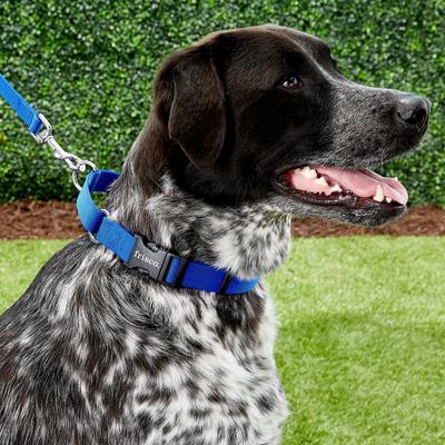 Show full view: Frisco Solid Nylon Martingale Dog Collar with Buckle, Blue, Large: 20 to 25-in neck, 1-in wide slide 4 of 10