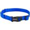 Show in main carousel: Frisco Solid Nylon Martingale Dog Collar with Buckle, Blue, Large: 20 to 25-in neck, 1-in wide slide 5 of 10