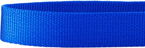 Show full view: Frisco Solid Nylon Martingale Dog Collar with Buckle, Blue, Large: 20 to 25-in neck, 1-in wide slide 7 of 10
