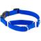 Show in main carousel: Frisco Solid Nylon Martingale Dog Collar with Buckle, Blue, Medium: 17 to 20-in neck, 1-in wide slide 1 of 10