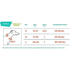 Frisco Solid Nylon Martingale Dog Collar with Buckle, Blue, Medium: 17 to 20-in neck, 1-in wide