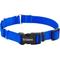 Show in main carousel: Frisco Solid Nylon Martingale Dog Collar with Buckle, Blue, Medium: 17 to 20-in neck, 1-in wide slide 5 of 10