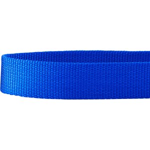 Frisco Solid Nylon Martingale Dog Collar with Buckle, Blue, Medium: 17 to 20-in neck, 1-in wide