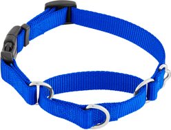 Frisco Solid Nylon Martingale Dog Collar with Buckle, Blue, S: 14 to 17-in neck, 3/4-in W