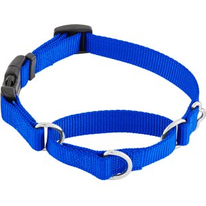 Frisco Solid Nylon Martingale Dog Collar with Buckle, Blue, S: 14 to 17-in neck, 3/4-in W