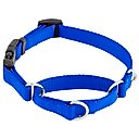 Frisco Solid Nylon Martingale Dog Collar with Buckle, Blue, S: 14 to 17-in neck, 3/4-in W