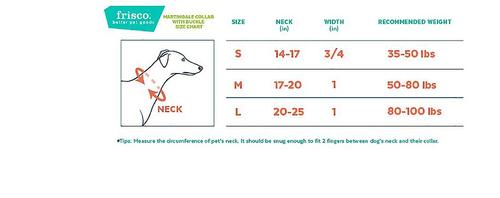 Show full view: Frisco Solid Nylon Martingale Dog Collar with Buckle, Blue, S: 14 to 17-in neck, 3/4-in W slide 2 of 9