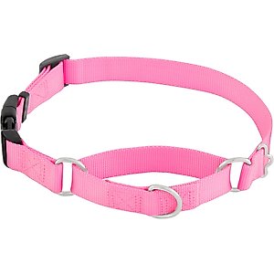 Frisco Solid Nylon Martingale Dog Collar with Buckle, Pink, Large: 20 to 25-in neck, 1-in wide